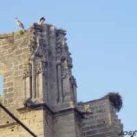 Foto de El Puerto de Santa María