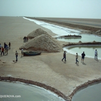 Foto de Chot El Jerid