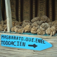 Foto de Chot El Jerid