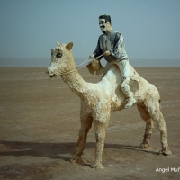 Foto de Chot El Jerid
