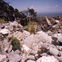 Foto de V.de Merlo_San Luis
