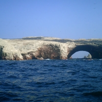 Foto de Ica