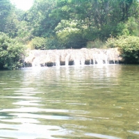 Foto de PALENQUE CHIAPAS