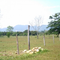 Foto de PALENQUE CHIAPAS