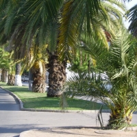 Foto de Nancagua