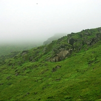 Foto de Lomas de Lachay