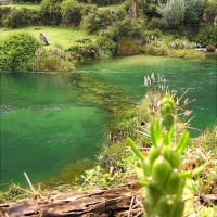 Foto de Huancaya