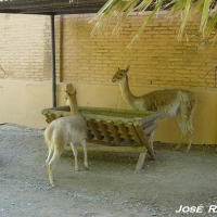 Foto de Jerez de la Frontera