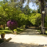 Foto de Jerez  de la Frontera