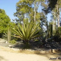 Foto de Jerez  de la Frontera