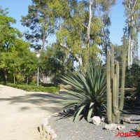 Foto de Jerez  de la Frontera