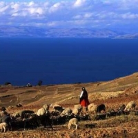 Foto de Puno