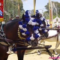 Foto de Jerez  de la Frontera