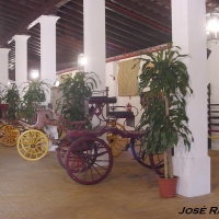 Foto de Jerez  de la Frontera