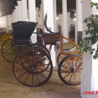 Foto de Jerez  de la Frontera
