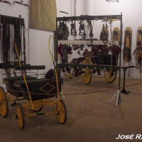 Foto de Jerez  de la Frontera