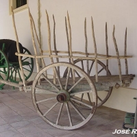 Foto de Jerez  de la Frontera