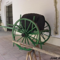 Foto de Jerez  de la Frontera