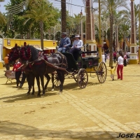 Foto de Jerez  de la Frontera