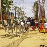 Foto de Jerez  de la Frontera