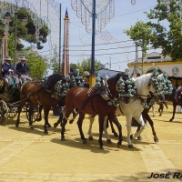 Foto de Jerez  de la Frontera