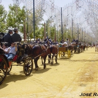 Foto de Jerez  de la Frontera
