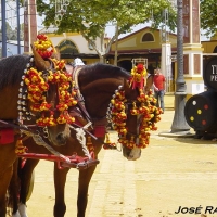 Foto de Jerez  de la Frontera