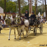 Foto de Jerez  de la Frontera