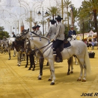 Foto de Jerez  de la Frontera