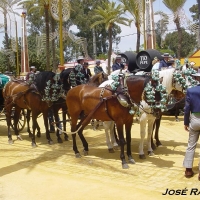 Foto de Jerez  de la Frontera