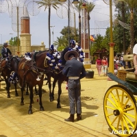 Foto de Jerez  de la Frontera
