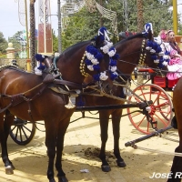 Foto de Jerez  de la Frontera