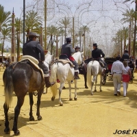 Foto de Jerez  de la Frontera