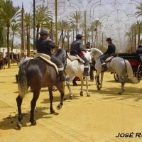 Foto de Jerez  de la Frontera