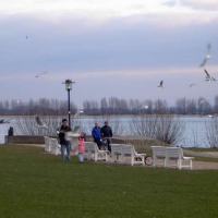 Foto de Wedel