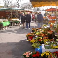 Foto de Wedel