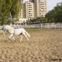 Foto de Jerez  de la Frontera