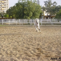 Foto de Jerez  de la Frontera
