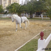 Foto de Jerez  de la Frontera
