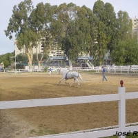 Foto de Jerez  de la Frontera