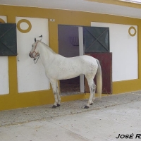 Foto de Jerez  de la Frontera