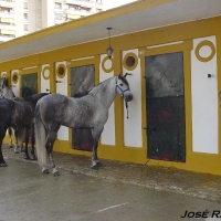 Foto de Jerez de la Frontera