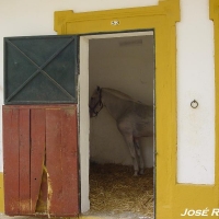 Foto de Jerez  de la Frontera