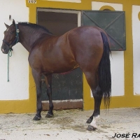 Foto de Jerez  de la Frontera