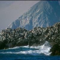 Foto de Arica