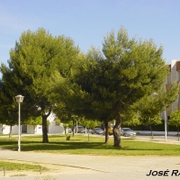 Foto de Jerez  de la Frontera