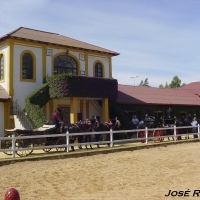 Foto de Jerez  de la Frontera