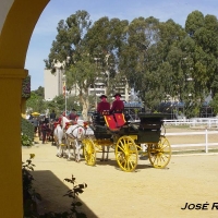 Foto de Jerez  de la Frontera