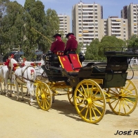 Foto de Jerez  de la Frontera