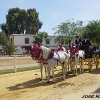 Foto de Jerez  de la Frontera